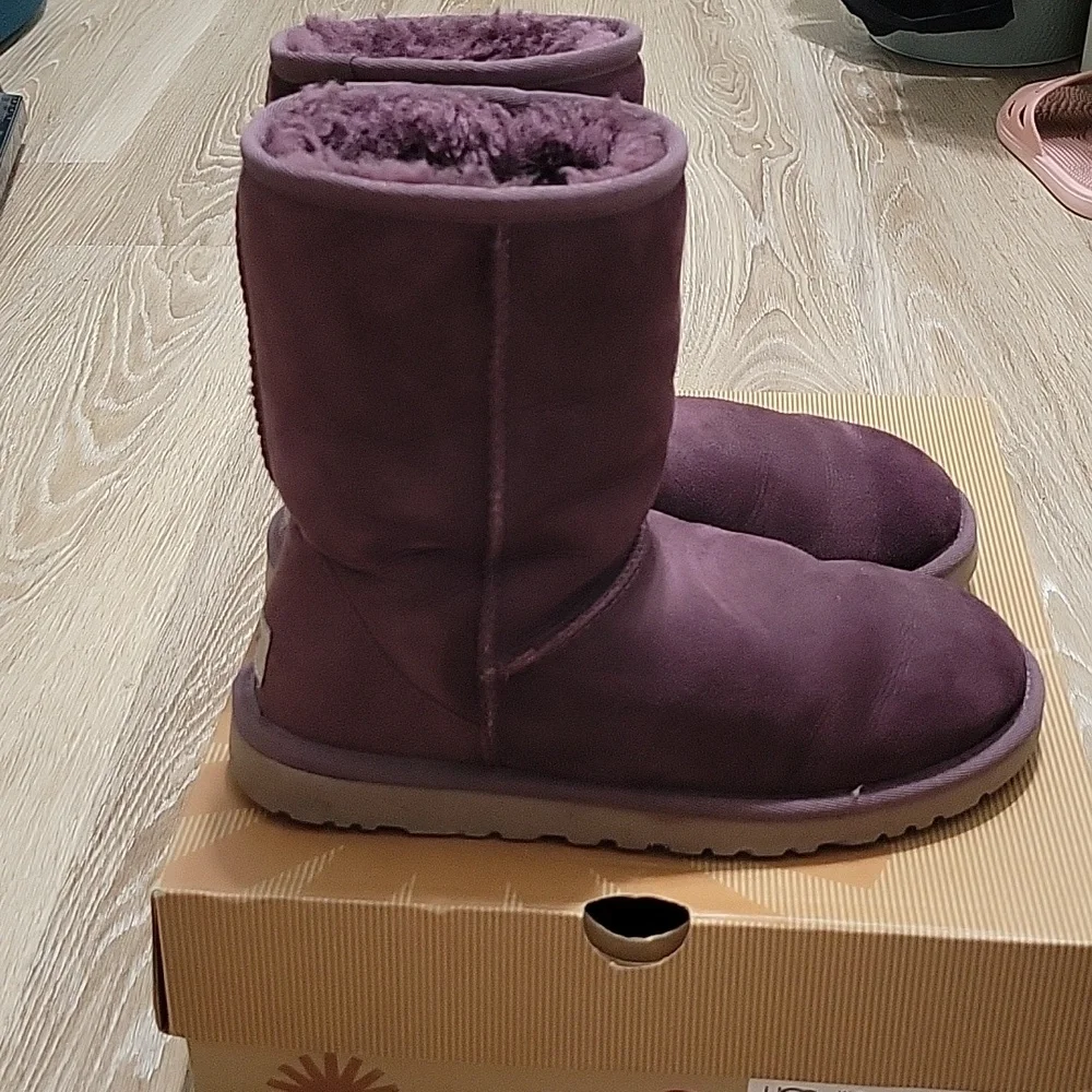 Classic UGG short - Picture 2 of 7